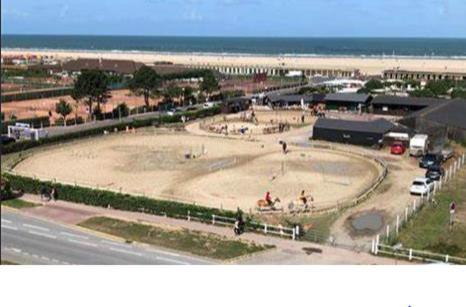 Studio Deauville-Les Marinas,Vue Mer Et Bassin Buitenkant foto